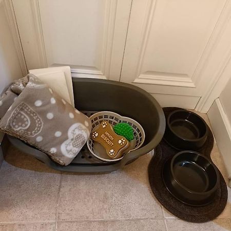D'Amico Home Experience - Frosinone Centro エクステリア 写真