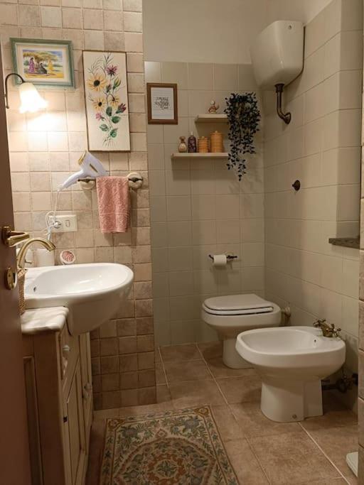 D'Amico Home Experience - Frosinone Centro エクステリア 写真