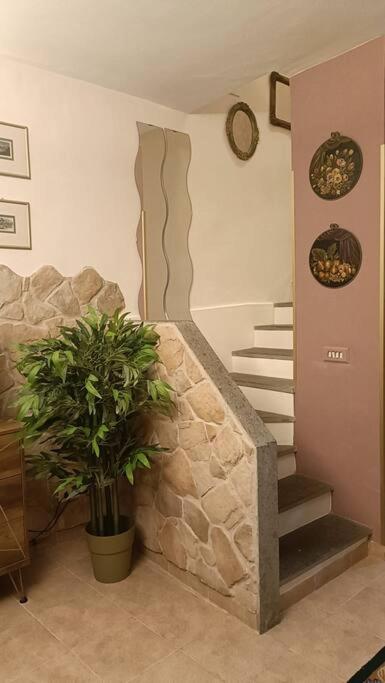 D'Amico Home Experience - Frosinone Centro エクステリア 写真